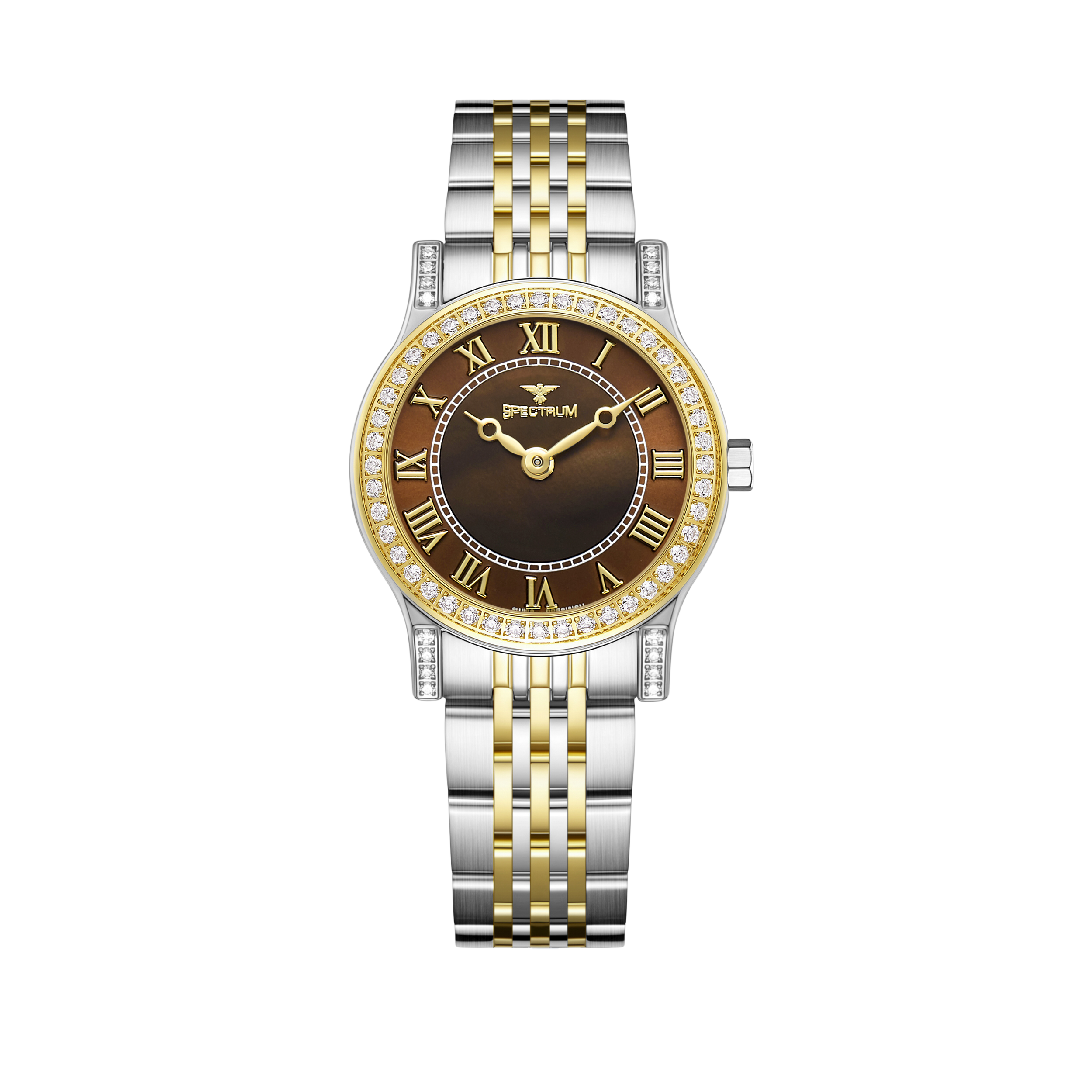 Women's Two Tone Gold Watch with Brown Dial S17114L-5